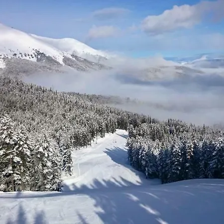 Apartament Fortuna Luxury *