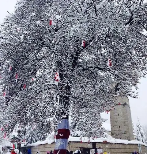 Fortuna Luxury Apartment