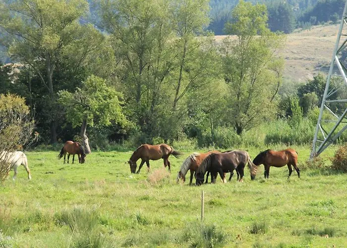 Fortuna Luxury * Bansko