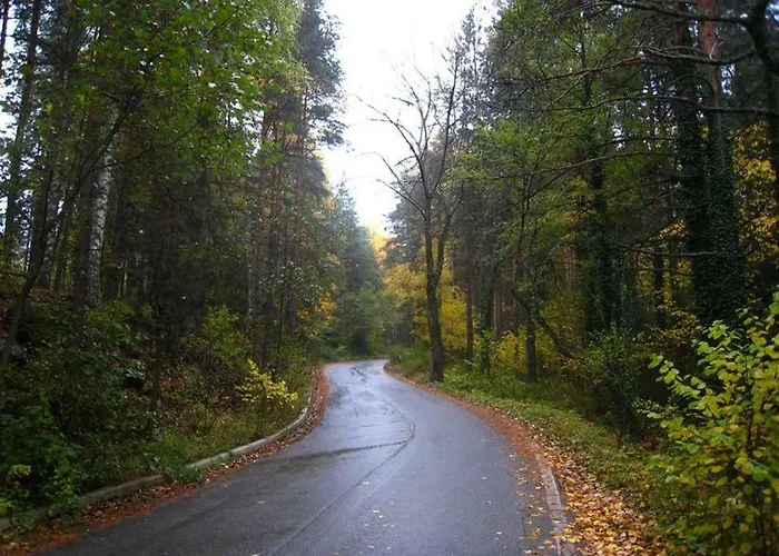 Apartment Fortuna Luxury Bansko