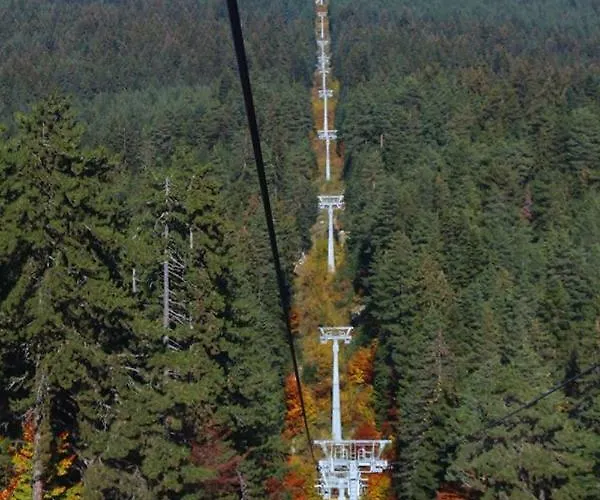 Fortuna Luxury 公寓 *